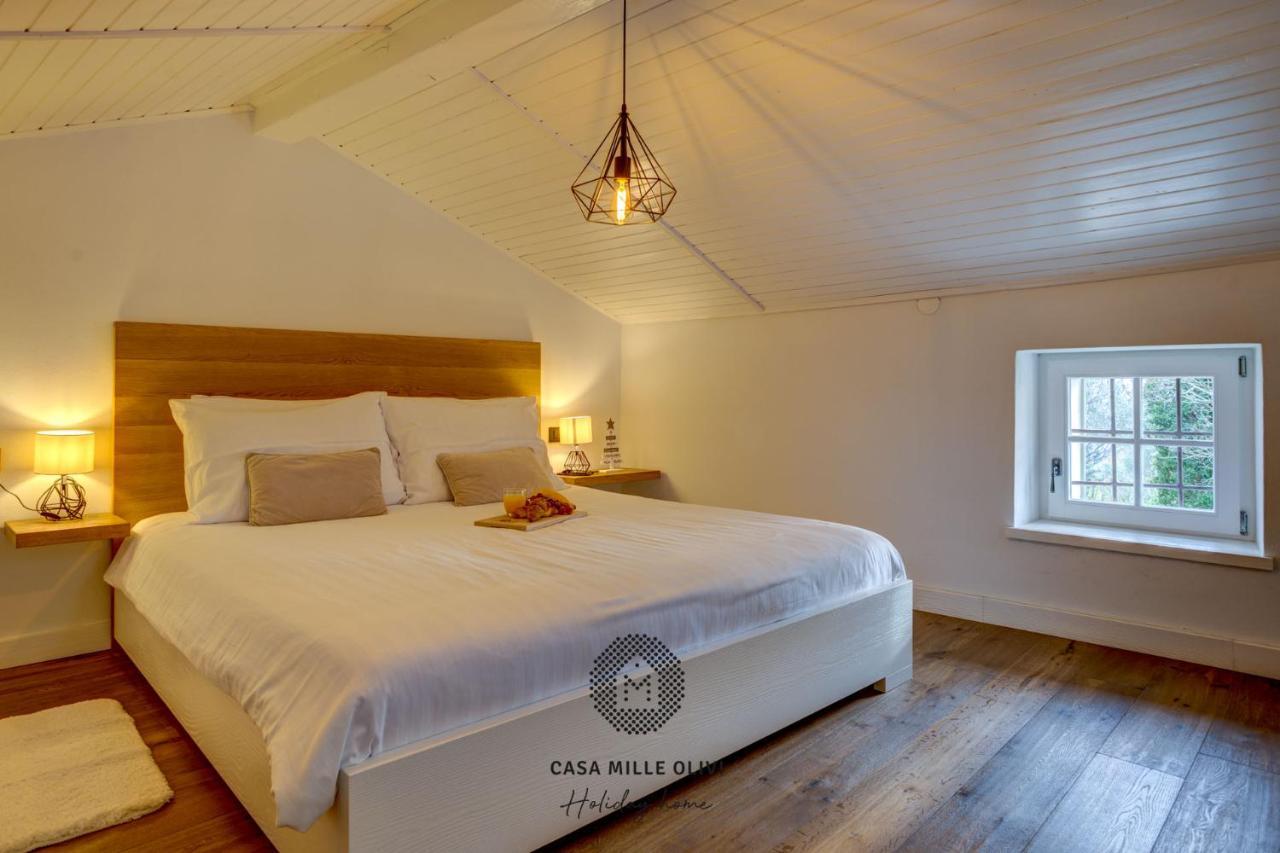 Casa Mille Olivi Villa Buzet Ngoại thất bức ảnh