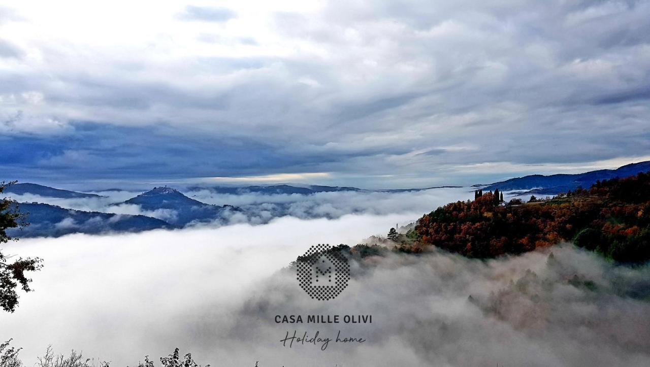 Casa Mille Olivi Villa Buzet Ngoại thất bức ảnh